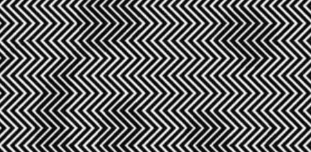 Can You Spot The Panda In This Zig-zag Optical Illusion?