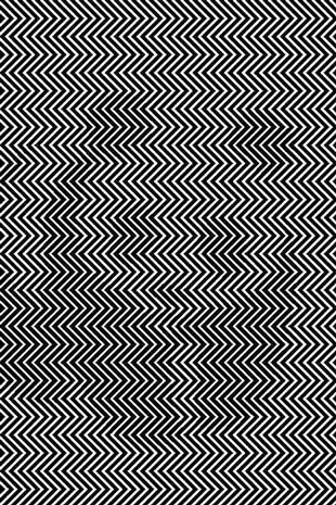 zigzag illusion 