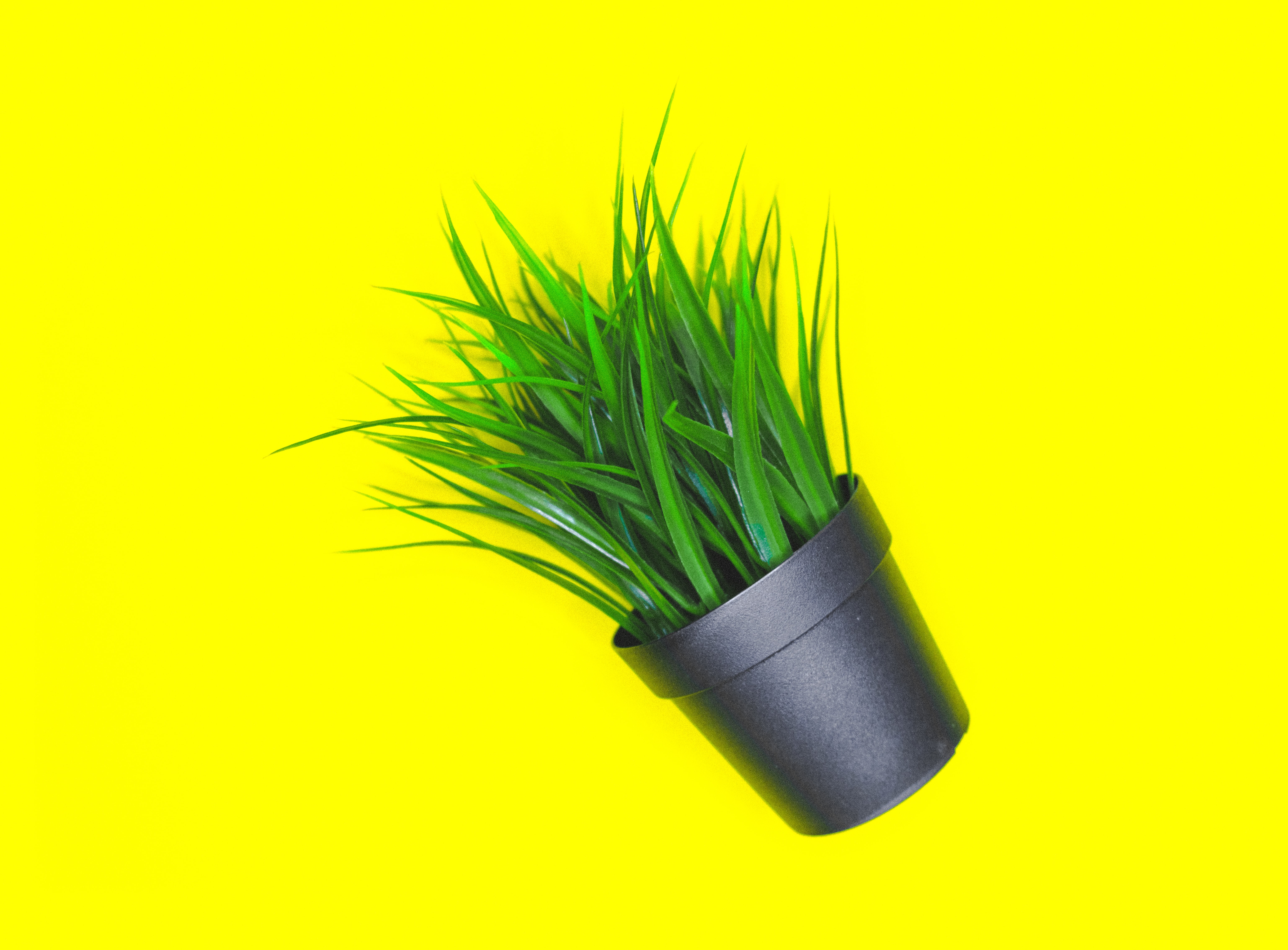 Apartment Balcony Garden Ideas