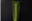 Grow Celery