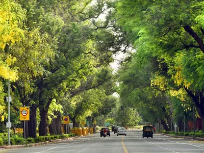 Delhi Preservation of Trees