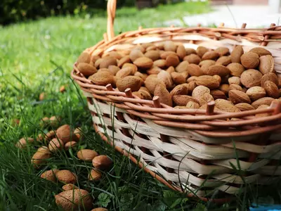 How To Grow Almonds At Home