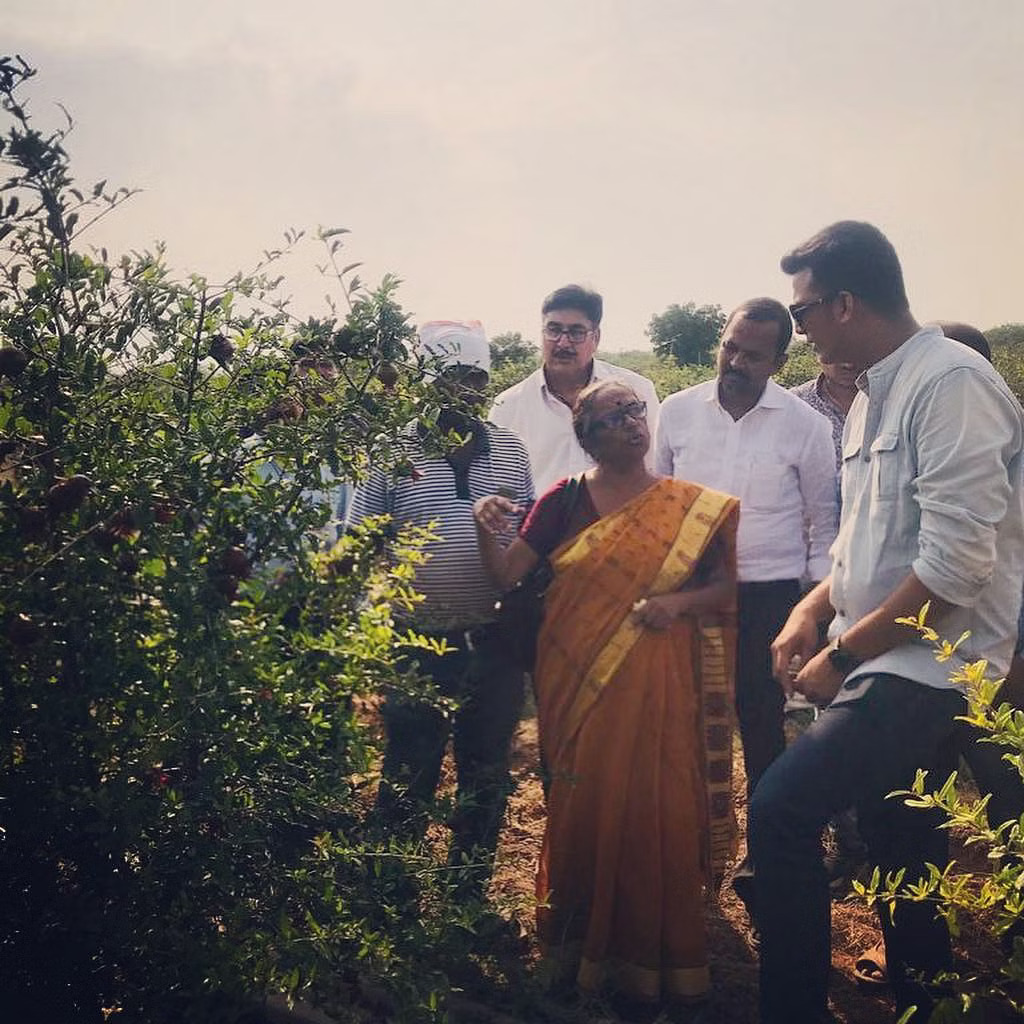 rajasthan sirohi youth earning one crore by cultivating