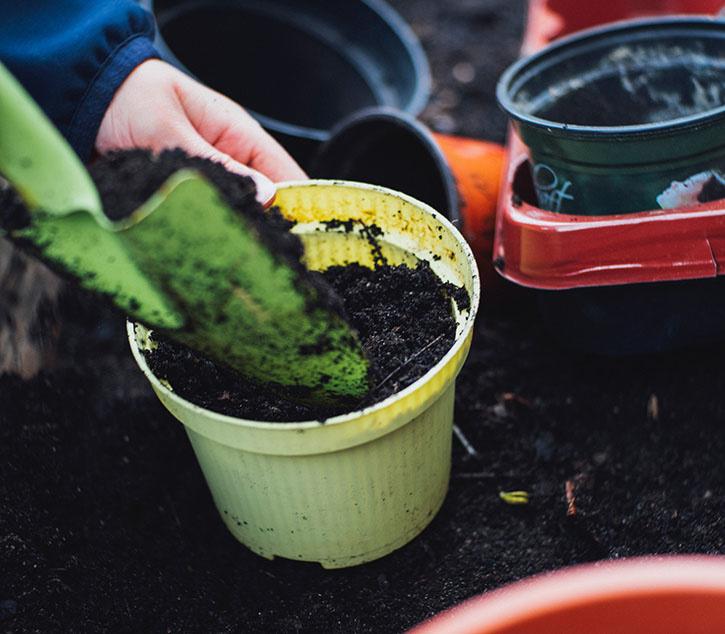 importance-of-urban-gardening