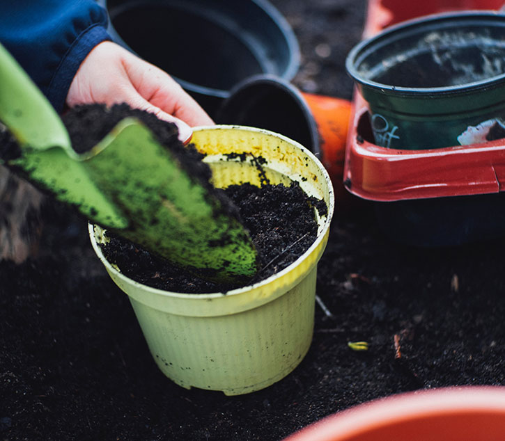 Importance Of Urban Container Gardening