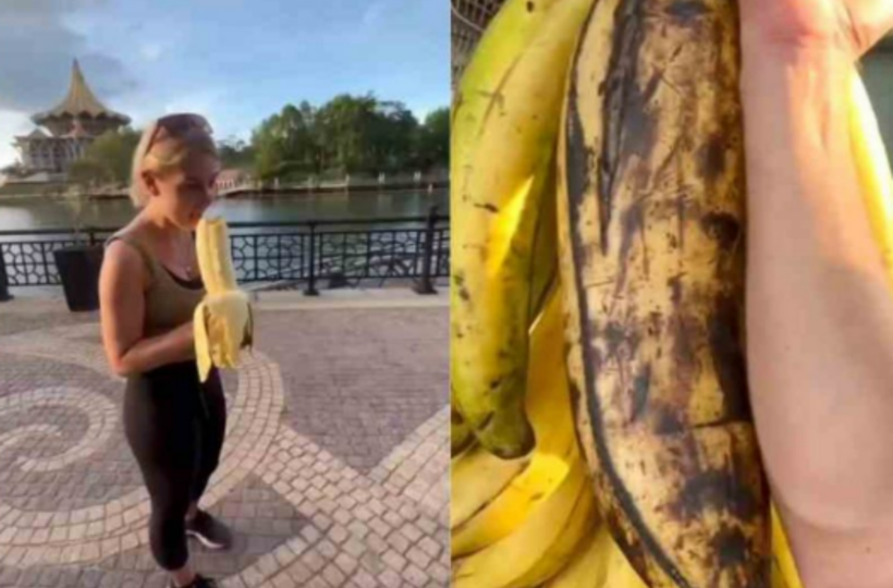 The largest bunch of bananas ever counted, with 473 bananas, is