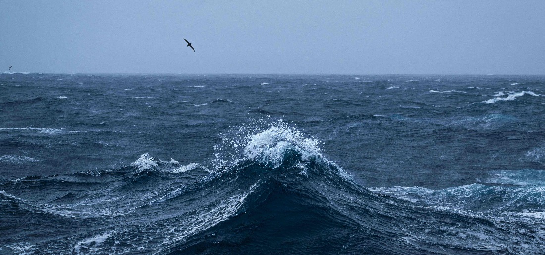 Explained: What Is The UN’s High Seas Treaty?