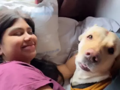Woman Travels On Train With Pet Dog, Viral Video