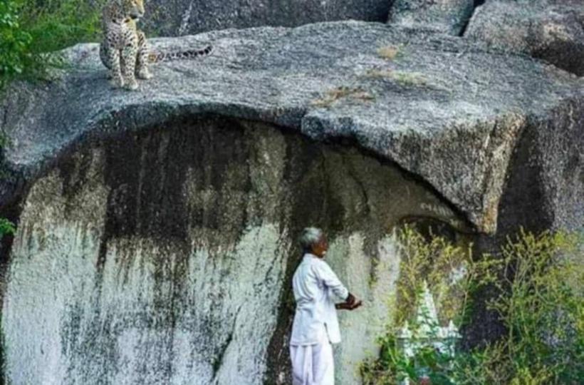 पूजा कर रहे बुजुर्ग को शांति से बैठ कर देखरहा था तेंदुआ, आनंद महिंद्रा हुए हैरान,