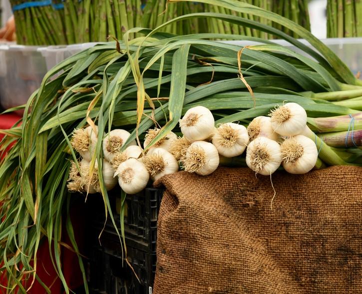 How to grow garlic at home