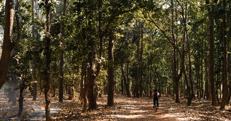 Women In Kanha Use Education As A Tool Of Empowerment