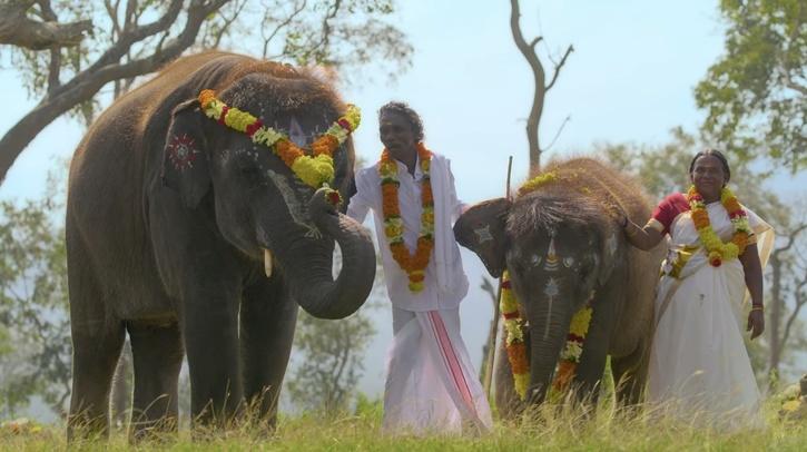 The Elephant Whisperers