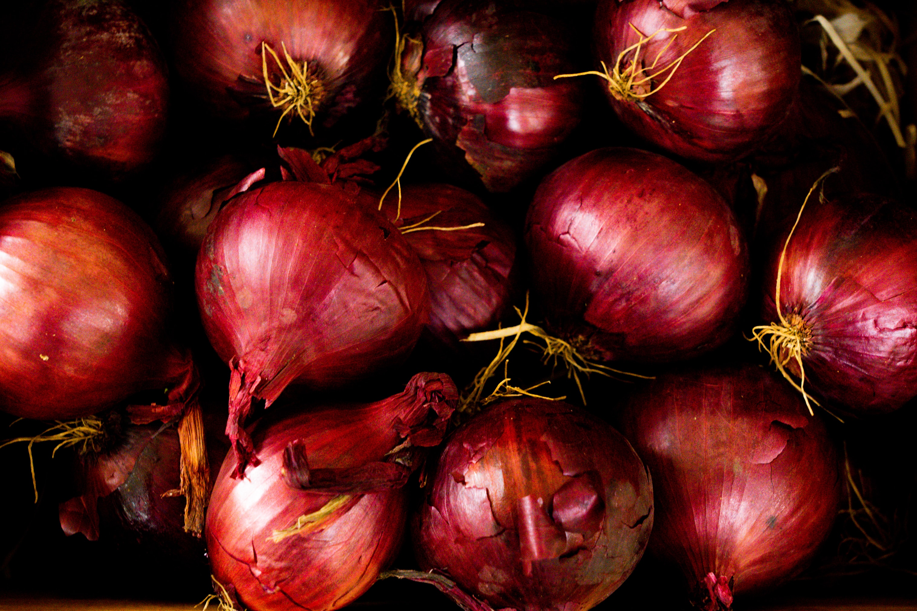 How to grow onions at home