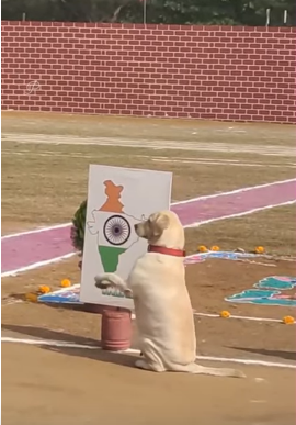 Dog Salute Indian Map 