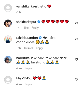 Instagram Comments 