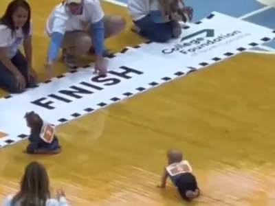 Toddler Crawling Race Goes Viral