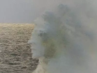 Face In Wave Image Viral