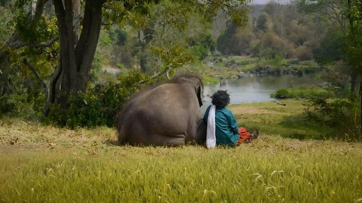 The Elephant Whisperers