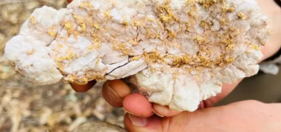 Australian Man Finds Gold Nugget With Metal Detector