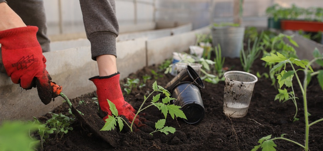 How To Start A Balcony Herb Garden