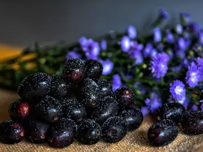 How To Grow Jamun From Seeds