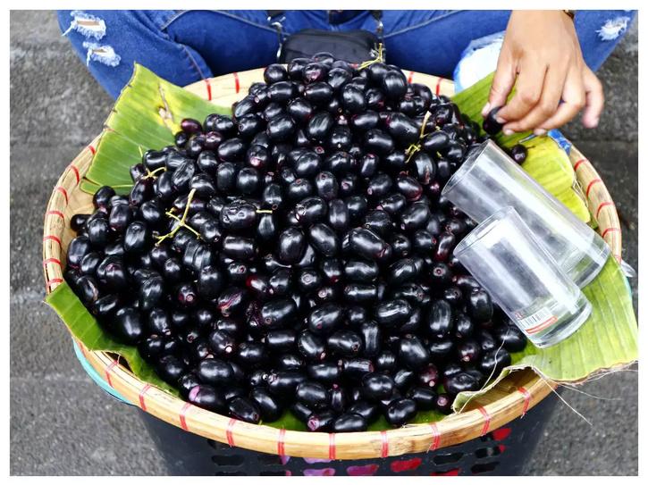 How To Grow Jamun From Seeds