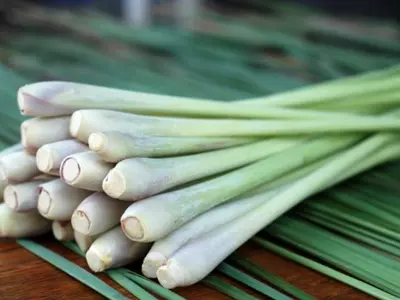 Growing lemongrass at home is a great way to enjoy its unique flavor and aroma in your cooking. Here are the steps to follow to successfully grow lemongrass at home: