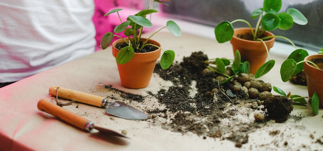 gardening-tools-required-for-kitchen-garden