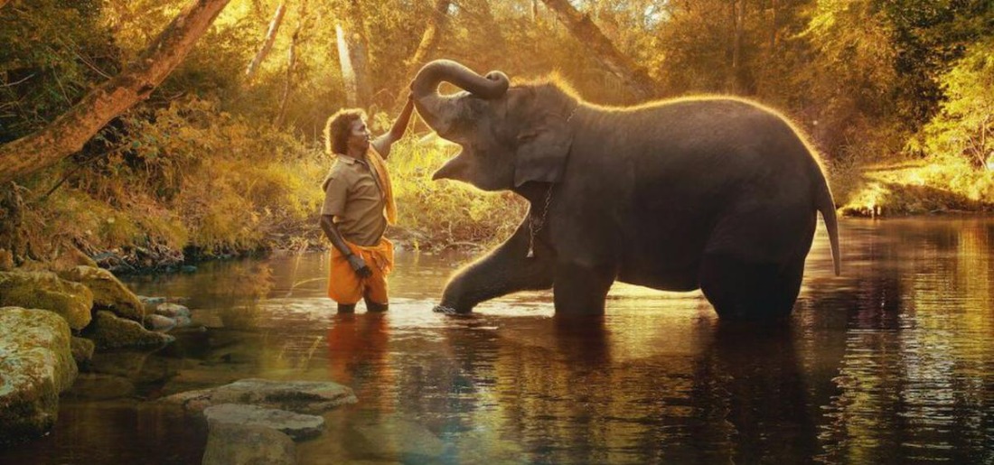 Oscars Awards 2023: भारत को गर्व के क्षण देने वाली 'The Elephant ...