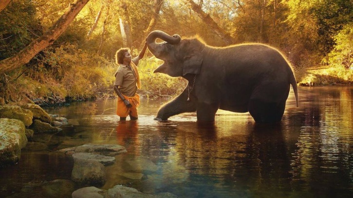 the elephant whisperers