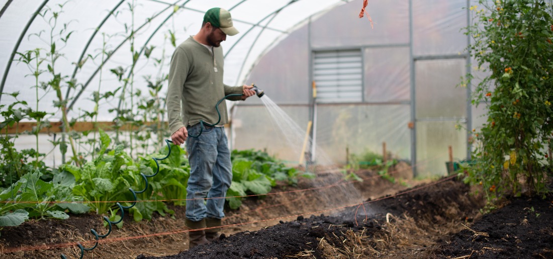 how-can-urban-farming-help-communities