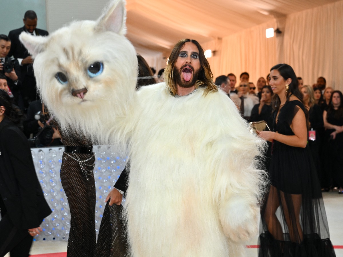 Here's Why So Many Celebrities Dressed Up Like a Cat for the Met Gala –  SheKnows