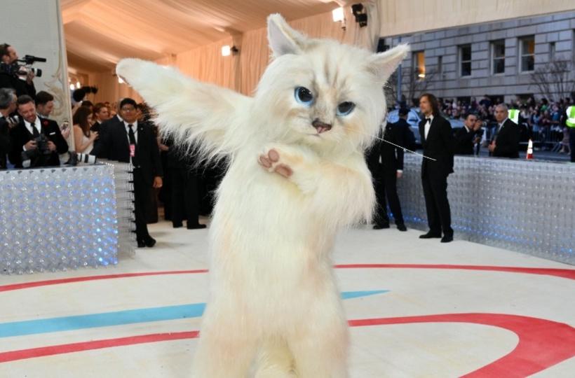 Met Gala 2023: Why celebrities opted to dress like cats on the red