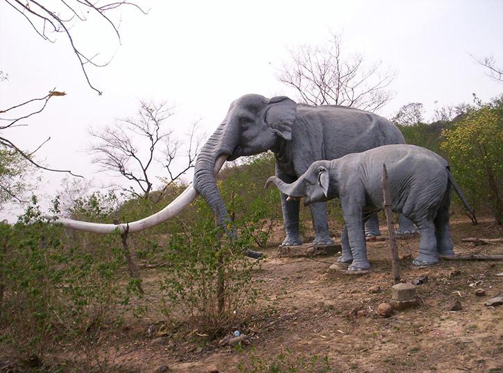 Shivalik Fossil Park Museum in Sirmour