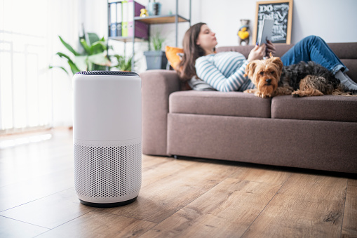 Air Purifier
