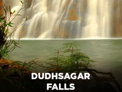 5 Waterfalls You Must Visit In Goa