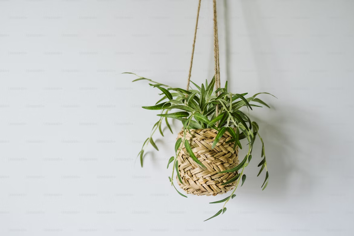 10 MustHave Hanging Plant Holders