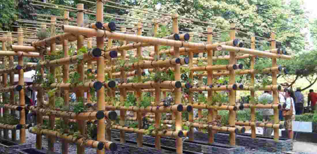 Vertical Bamboo Planter