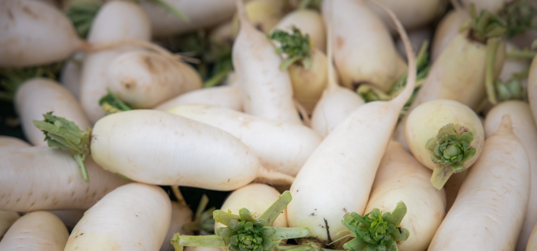 How To Grow White Radish At Home Step By Step Complete Checklist