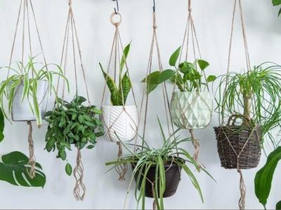 10 Must-Have Hanging Plant Holders