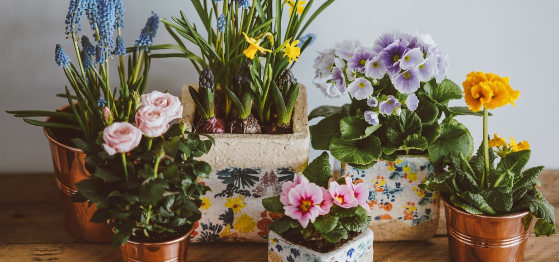 How To Plant Flower In Pots Without Drainage Holes