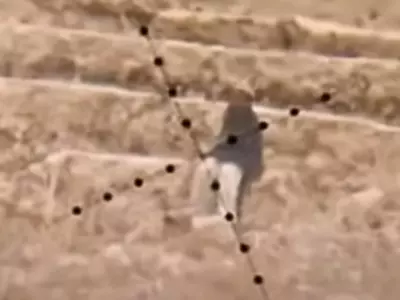 Footage Shows How Far A Sniper Can See