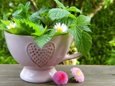 Teacup and Teapot Planters