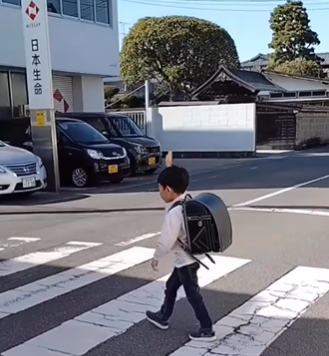 Japanese boy politely crosses the street