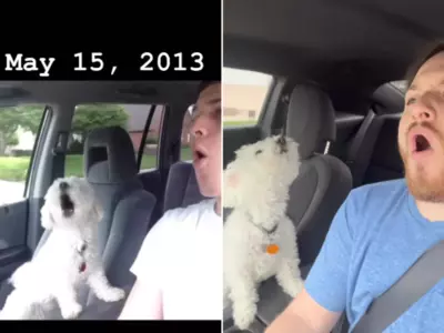 Man Brings Back Iconic Video with Pet Dog That Captivated the World