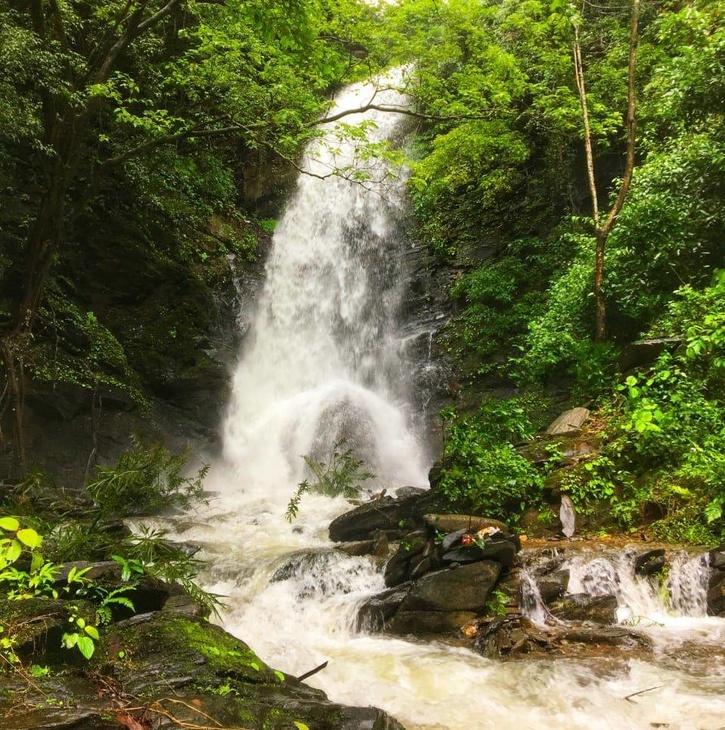 5 Waterfalls You Must See In Goa