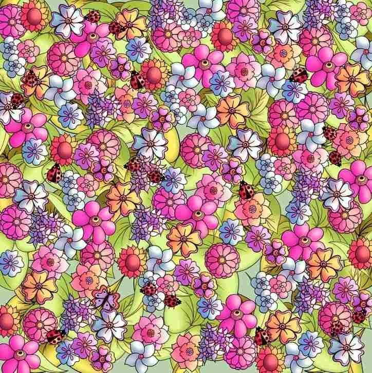 Optical Illusion IQ Test Find the hidden butterfly in 9 seconds