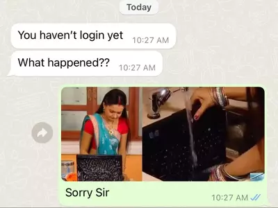 The Gopi Bahu Meme Chronicles Unveiling the Unexpected Story After a Delayed Login