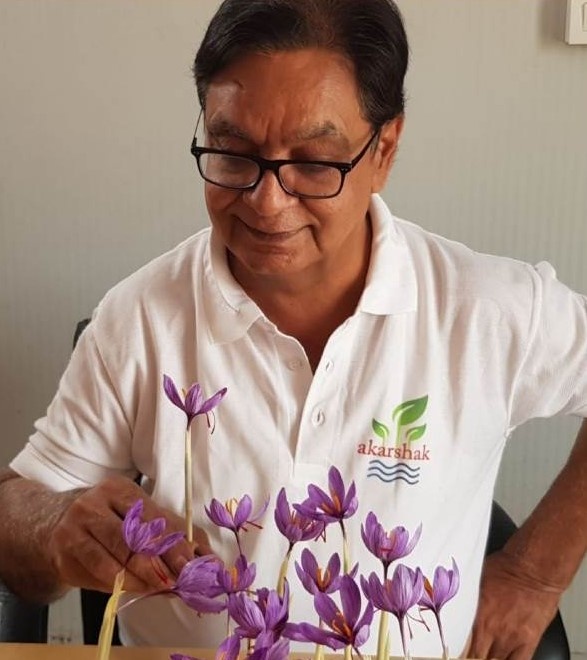 A person is cultivating saffron in a room in Noida