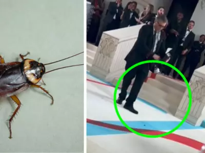 Video Of Photographer Following A Cockroach To Click Its Photos At Met Gala 2023 Is Going Viral